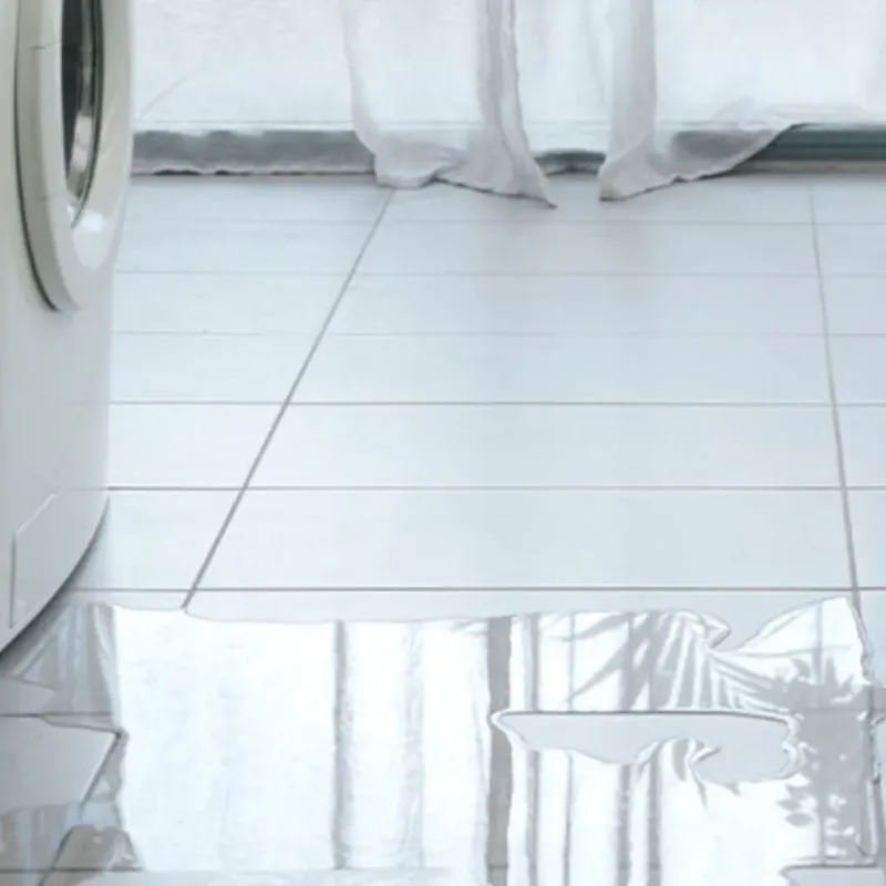 Appliance Leak Cleanup in Walworth, WI