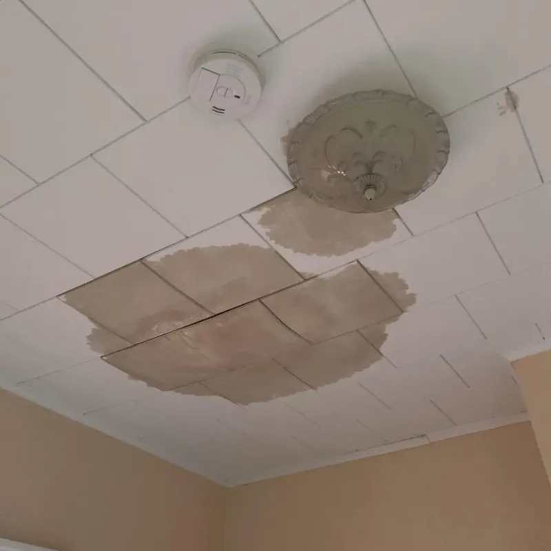 Ceiling Water Damage Repair in Walworth, WI